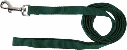 Hamilton Single Thick Nylon Deluxe Dog Lead with Swivel Snap, 3/4inch thick, 4 feet, Green
