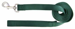Hamilton Single Thick Nylon Dog Lead with Swivel Snap, 1inch thick, 4 feet long, Green
