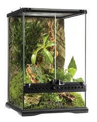 Exo Terra Galss Terrarium 12 X 12 X 18