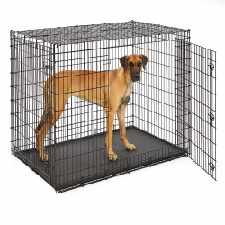 Midwest Ginormus DD Crate, Dog Crate, 54in