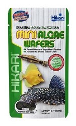 Hikari Mini Algea Wafers Fish Food .77oz
