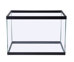 MarineLand Standard Rectangular Glass Aquarium Tank, 20 Gallon
