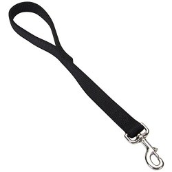 Double Ply Nylon Dog Traffic Leash 1 inch x 24 inch