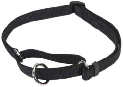 Coastal 1 inch x 18-26 inch Adjustable Collar Black