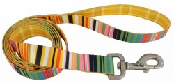 1"x6 Sublime Leash StripePlaid