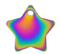Hillman Rainbow Star Dog Tag, Large, 5 count