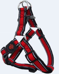 Athletica AirStep Harness Maroon Large