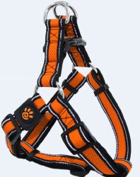 Athletica AirStep Harness Orange Large