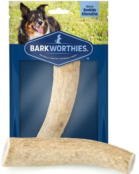 Barkworthies Whole Elk Antler 6 inches
