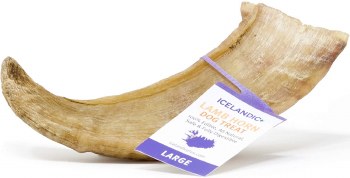 Icelandic Lamb Horn, 6.5in, Large