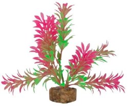 GloFish Green/Pink Plant Small