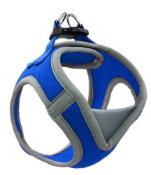 1 inch x 20-28 inch Athletica Harness Blue