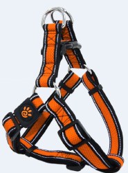 1 inch x 20-28 inch Athletica Harness Orange