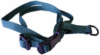 Hamilton Adjustable Figure 8 Puppy or Cat Harness, 3/8 inch, Green, Md