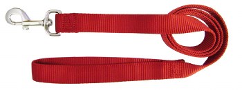 Hamilton Single Thick Nylon Dog Lead, 1 inch thick x 2ft long, Red