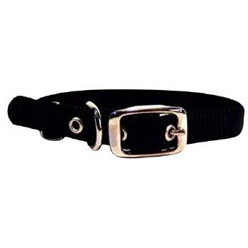Hamilton Single Thick Nylon Deluxe Dog Collar, 16 inch, Black