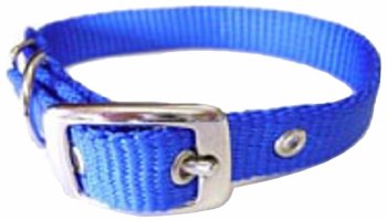 Hamilton Single Thick Nylon Deluxe Dog Collar, 5/8 inch x 18 inch, Blue