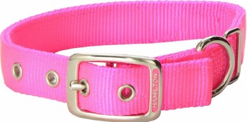 Hamilton Single Thick Nylon Deluxe Dog Collar, 3/4 inch thick x 18 inch length, Hot Pink
