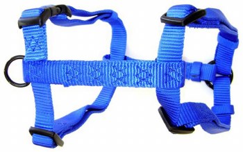 Hamilton Adjustable Comfort Nylon Dog Harness, For Small Dogs of 5-20lbs, 5/8 inch thick, 12-20 inch chest, Blue