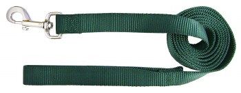 Hamilton Single Thick Nylon Dog Lead with Swivel Snap, 1 inch thick x 4ft long, Green
