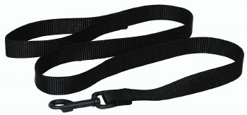 Nylon Lead with Swivel 1 inch x 6 feet