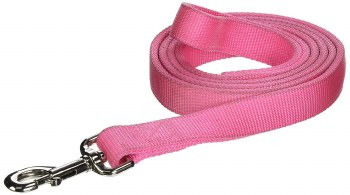 6ft Training Lead Pink