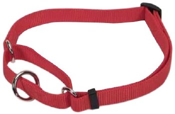 Coastal 1 inch x 18-26 inch Adjustable Collar Red