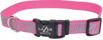 Reflective Adjustable 1 inch x 18-26 inch Pink Zebra Collar