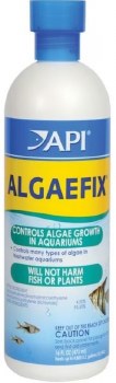 API AlgaeFix 16oz