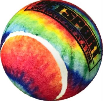 PetSport Tie Dye Squeak Ball, 4 inch