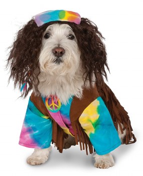 Hippie Dog Costume, Medium