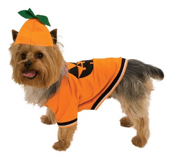 Pumpkin Pet Costume Small
