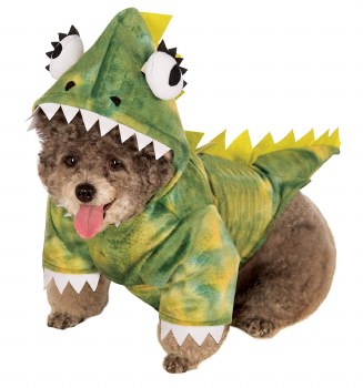 Dinosaur Costume, Green, Medium