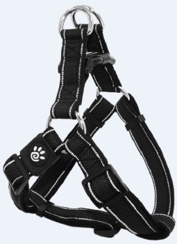 1 inch x 20-28 inch Athletica Harness Black