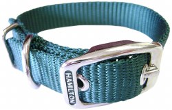 Hamilton Single Thick Nylon Deluxe Dog Collar, 12 inch, Green