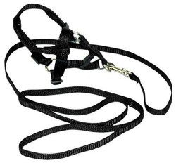 Hamilton Adjustable Puppy and Cat Harness and Lead, 3/8 inch by 10-16 inch Harness and 4 foot Lead, Black