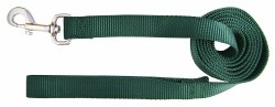 Hamilton Single Thick Nylon Dog Lead with Swivel Snap, 1inch thick x 2  ft long, Green