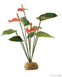 Exo Terra Anthurium Bush Plant