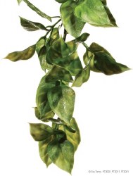 Exo Terra Jungle Plant, Amapallo, Small