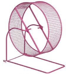 E-Z Roller 8" ExrciseWheel