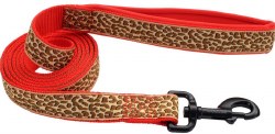 5/8 inch x 6ft Neoprene Leash