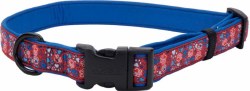 Neoprene Collar 5/8 inch x 12-18 inch Red and Blue Paws