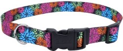 Adjustable Wildflower Collar 10-14 inch