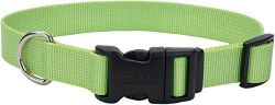 3/8 inch x 8-12 inch Adjustable Collar Extra Small Lime