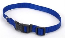 1 inch x 14-20 inch Adjustable Collar Blue