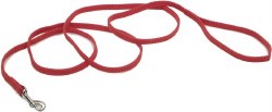 3/8 inch x 6ft Leash Red