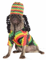 Rasta Dog Costume, Large