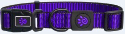 3/4 inch x 13.5-19 inch Martini Collar Purple