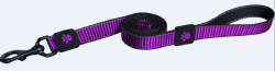 4ft Martini Bean Leash, Purple Medium