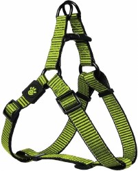 3/4 inch x 21-30 inch Martini Harness Lime